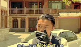 红星新闻爆料郭有才视频,真相与争议并存